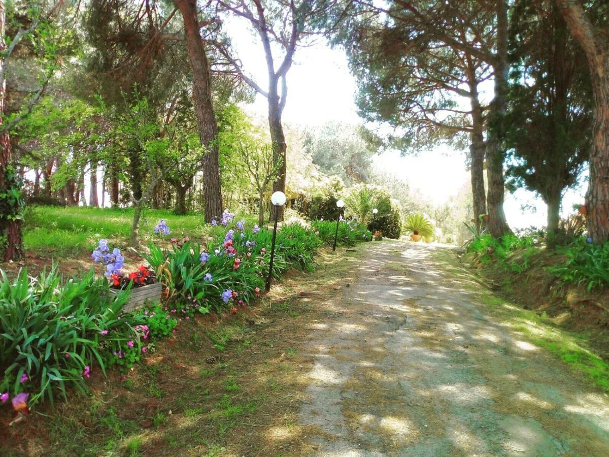 Villa Roma - Quarto Del Cuore Extérieur photo